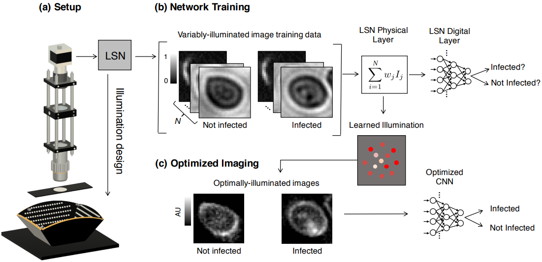 microscope optimization